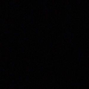 Meet your Posher, Ronald